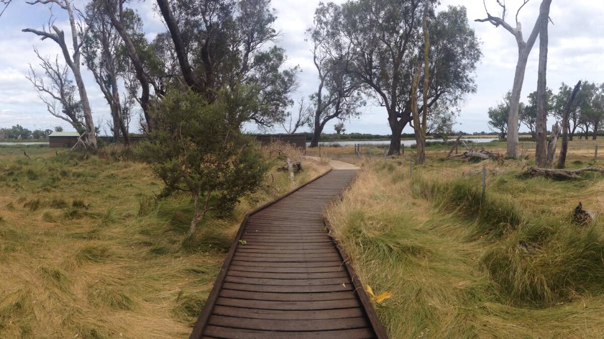 Boardwalk to the Vasse wetland bird hide. Image supplied by the South West Catchments Council.