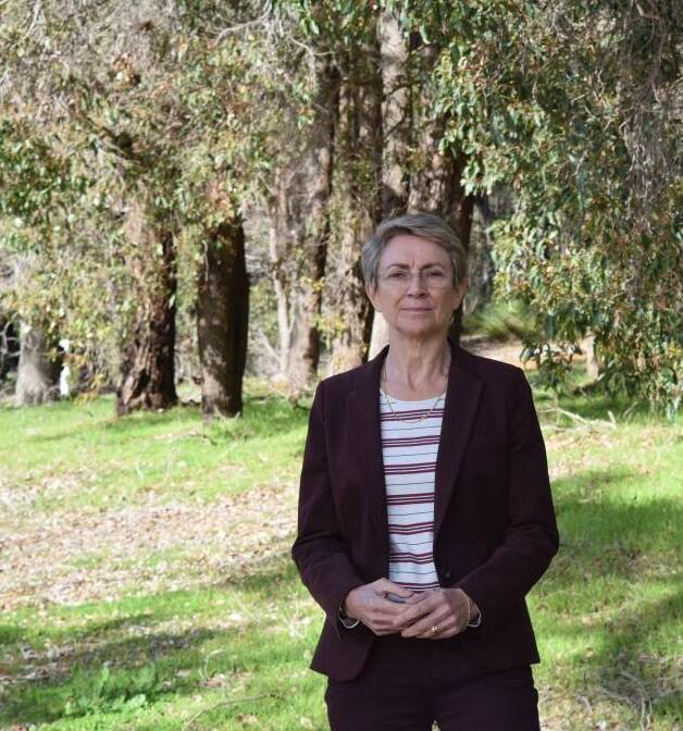 South West MP Sally Talbot will take over as the chair of the Vasse taskforce.