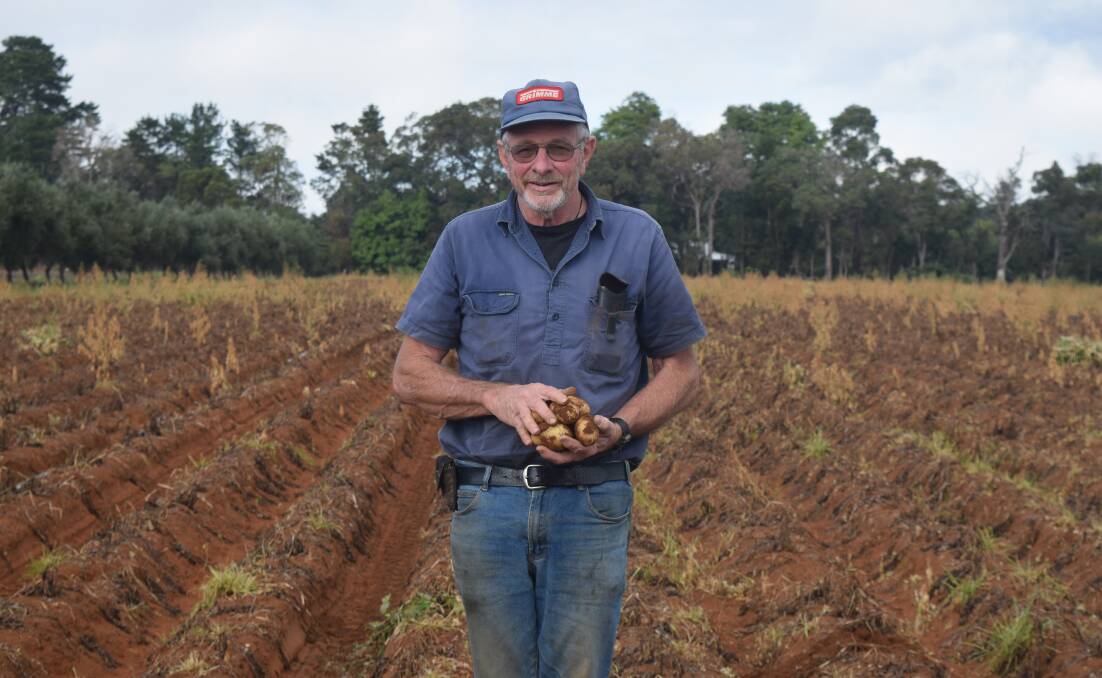 Busselton potato grower Keith Taylor is disgusted with the premier for stepping in to stop a civil lawsuit against spud king Tony Galati.