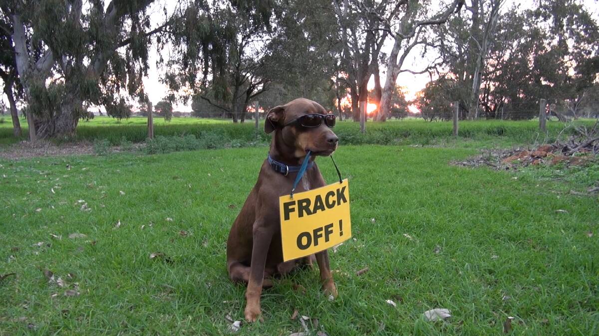 Lock the Gate campaigners are concerned that the number of gas wells located at Whicher Range will increase after a research paper indicated 58 gas wells were needed to extract a commercially viable quantity of gas. Image supplied.