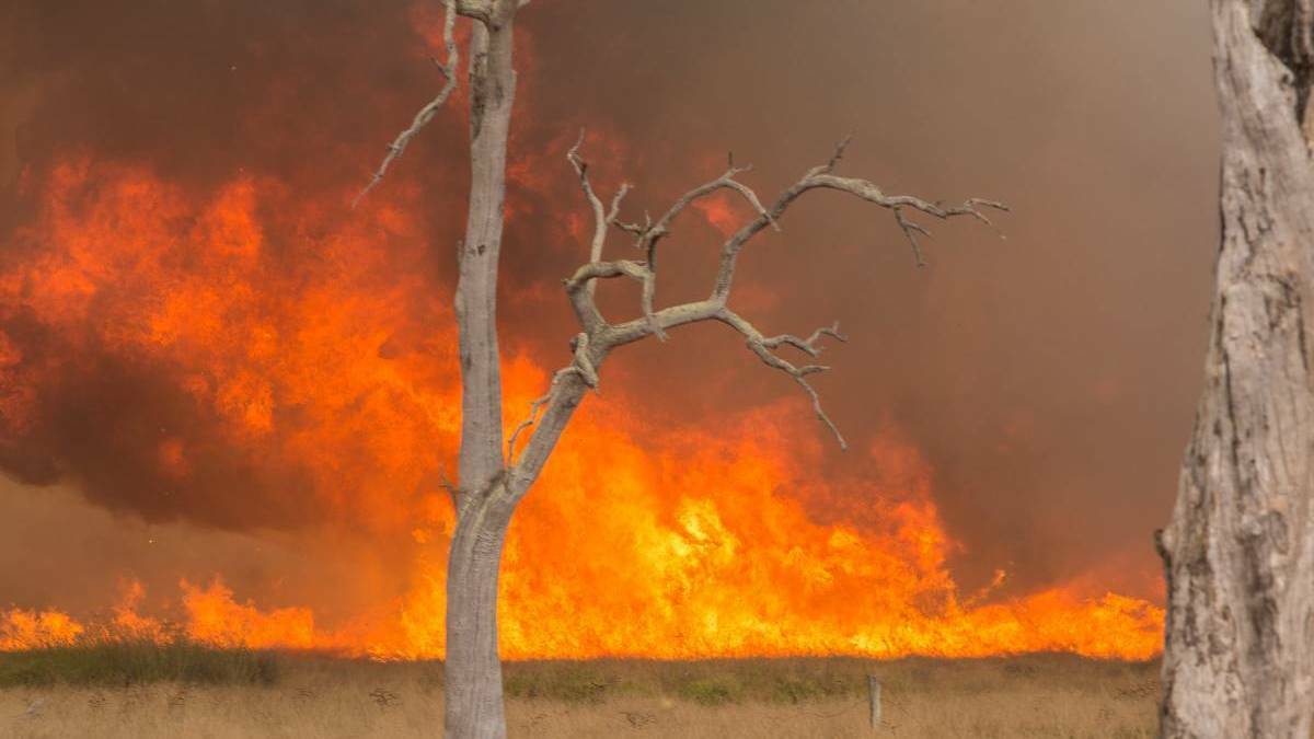 A bushfire advice has been issued. Photo: Ashley Pearce.