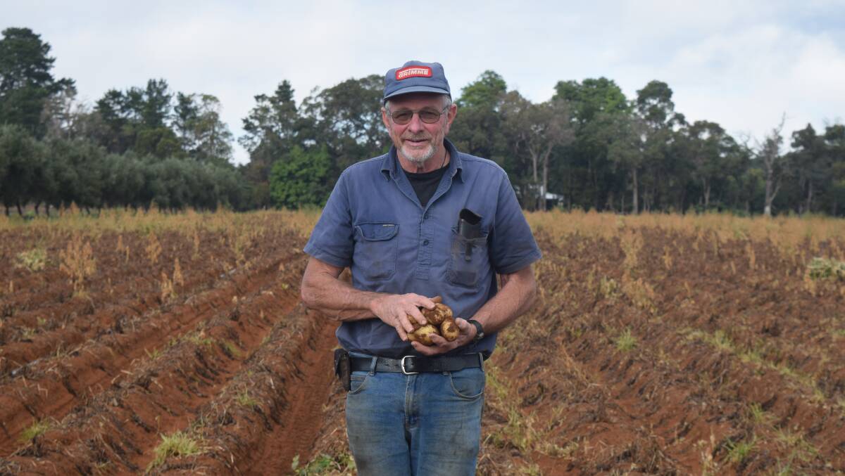 Busselton potato grower Keith Taylor said they had no choice but to accept the government's offer.