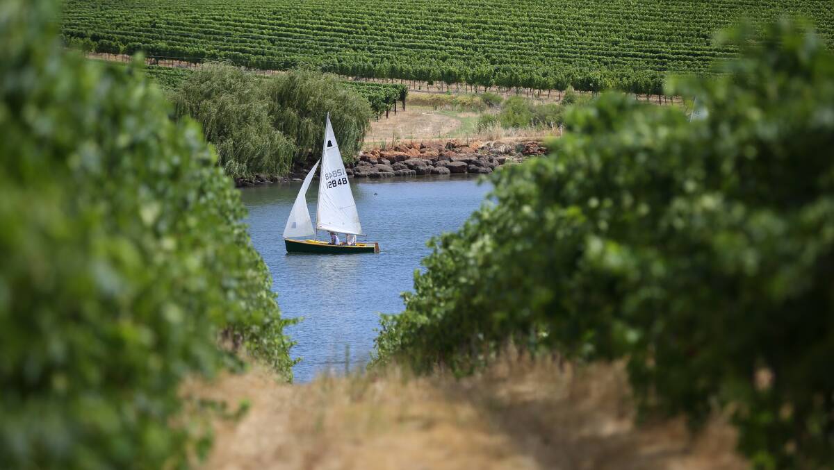 Sailing regatta set for the vineyards