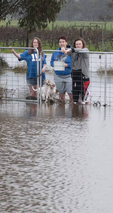 Knee deep: residents almost swimming in the water that swamped their property over the weekend. Photo by Wendy Slee. 