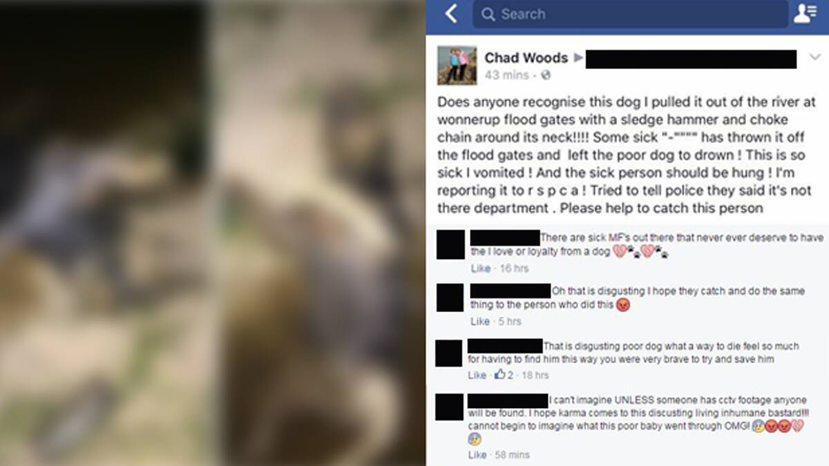 Chad Woods found a drowned dog in the Wonnerup Floodgates last night. He posted the finding on Facebook in a bid to find the culprits of the murder. 
