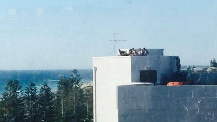 Did these guys get the best spot to enjoy the sunshine atop a roof in Scarborough Photo: Tazli Bowe