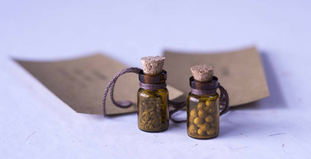 Miniature bottles with herb seeds. $9.95. The Curatoreum at the Arboretum. Photo: Cassie Burrowes