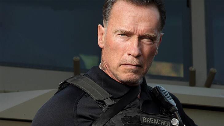 Straight to DVD ... Arnold Schwarzenegger in box-office flop <i>Sabotage</i>.