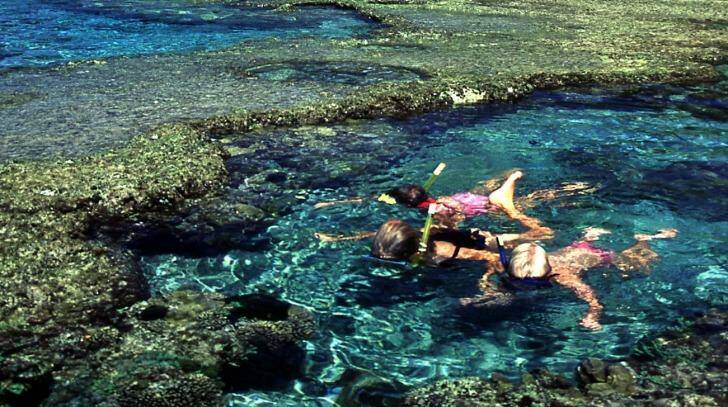 Snorkelling is easy at Lord Howe Island. Photo: supplied