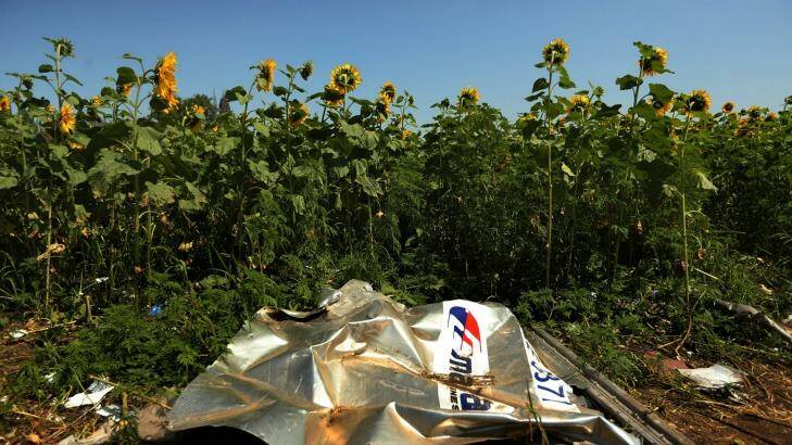 Sunflowers surround the MH17 crash site in East Ukraine.  Photo: Kate Geraghty