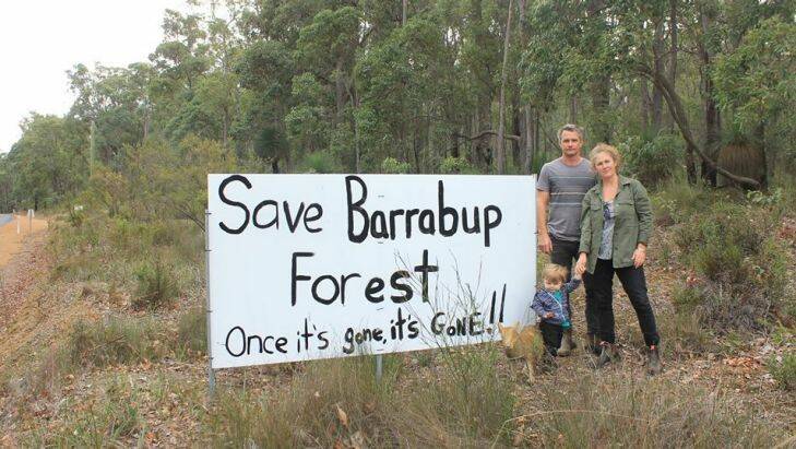 South West old growth forests 'redefined' to allow more logging