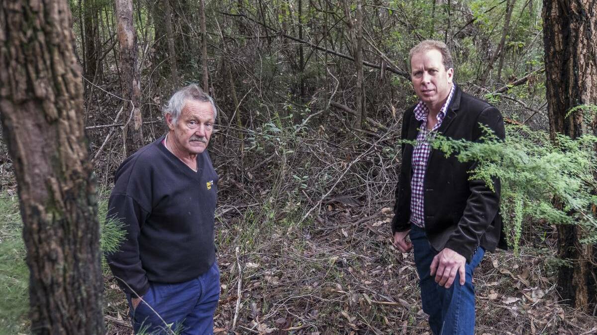 Northcliffe Bushfire Brigade captain Rod Parkes and Shire of Manjimup president Wade De Campo pictured among Northcliffe bushland they say must be back-burnt immediately to better protect the region. Photo: Ashley Pearce.