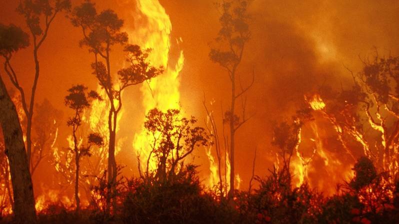 DFES has urged the community to watch for signs of bushfire as a heatwave approaches Western Australia.