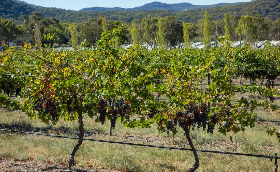 An international marketing campaign has resulted in increased Margaret River premium wine exports over the last year.