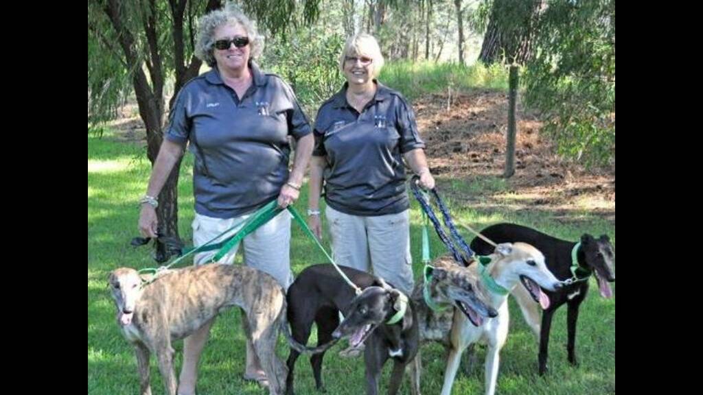 Busselton Greyhound Awareness group founders Jackie Kemp and Lesley Rouvray with some of the dogs they have re-homed.