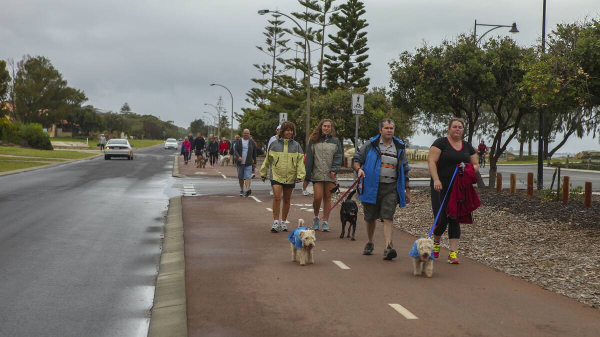 The City of Busselton council has been asked to approve a new dog management strategy.