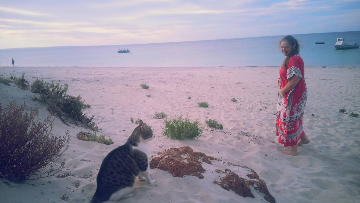 Billy the cat enjoys long walks on the beach 