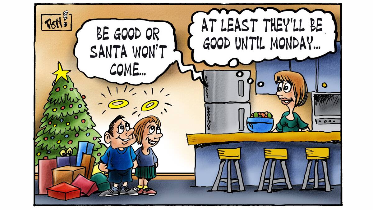 Cartoons from the Busselton-Dunsborough Mail. 19-12-2012.