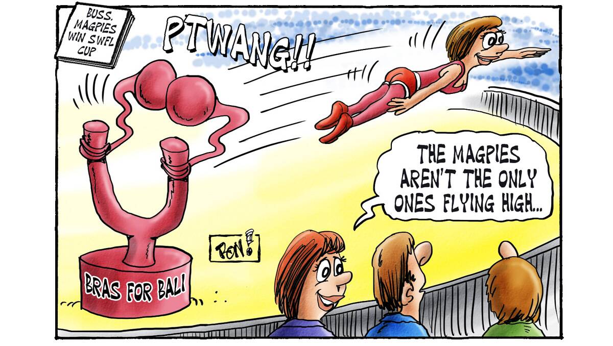 Cartoons from the Busselton-Dunsborough Mail. 17-10-2012.
