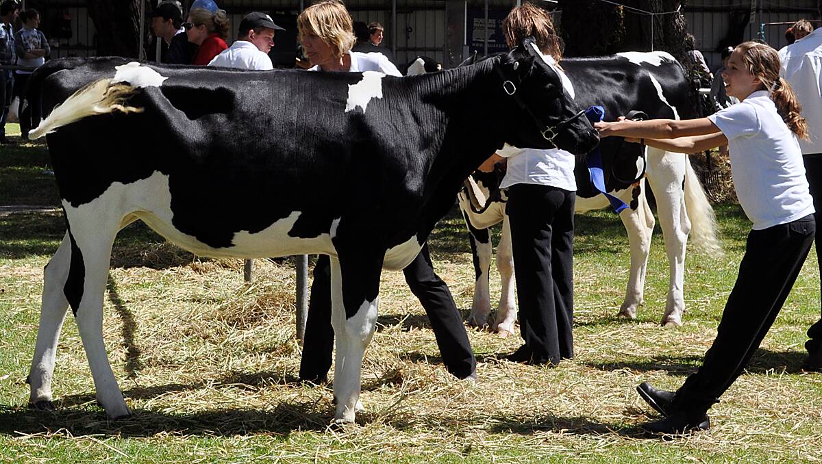 Pictures from the 2012 Busselton Show.