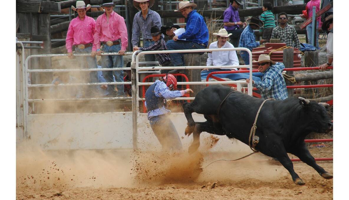 A contestant is left standing by his bull.