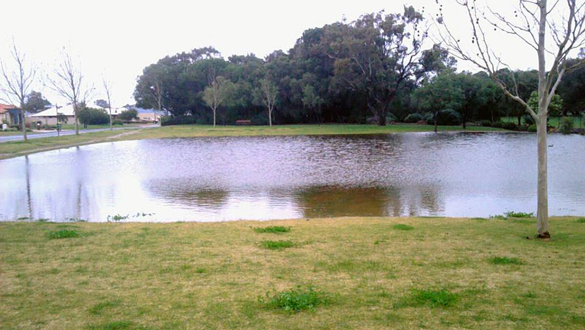 A park in Broadwater looked more like a lake at lunch time.
