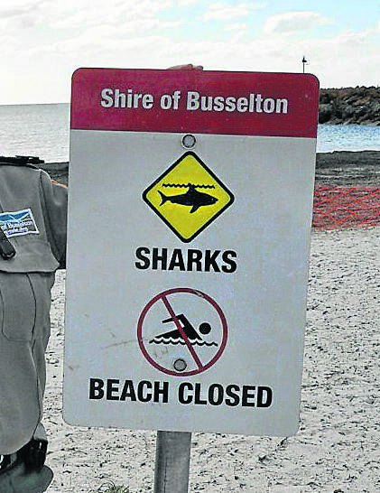 Beach closed:  A kill order has been issued for the 3-4 metre shark.