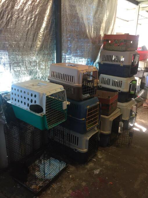 Evidence of a hoarding situation that got out of control in Perth. Picture: RSPCA WA. 