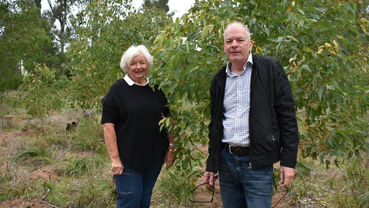 Ludlow Tuart Forest Restoration Group committee members Evelyn Taylor and Bill Biggins.