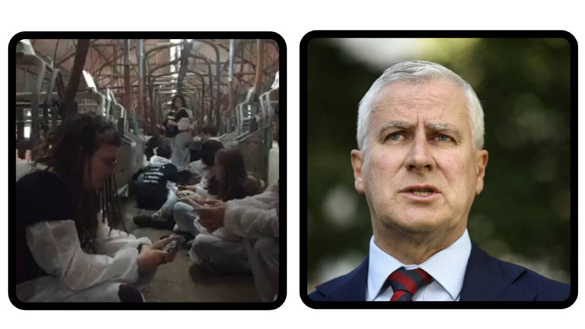nside the farrowing shed at Glasshouse Country Farms where 68 vegan activists staged a protest but raised alarm bells about biosecurity breaches (left) and Deputy Prime Minister and Nationals Leader Michael McCormack (right)