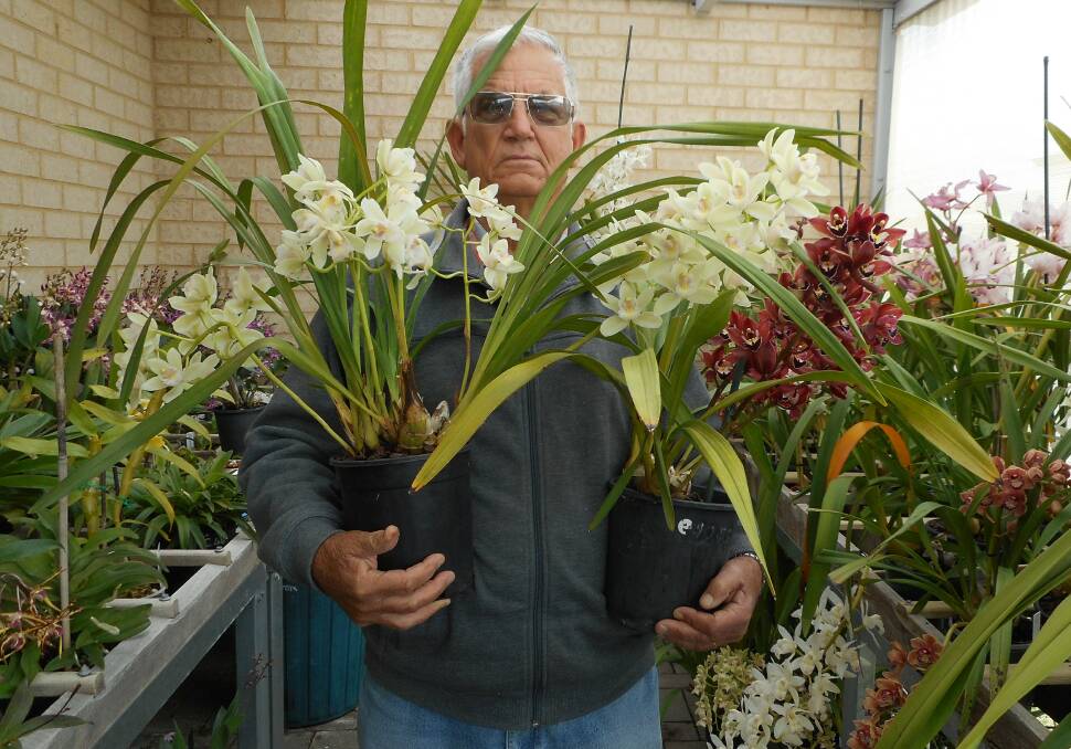 Simon Snook with some of his orchids.which will be on display and the spring show being held at Watershed Winery.Image supplied.