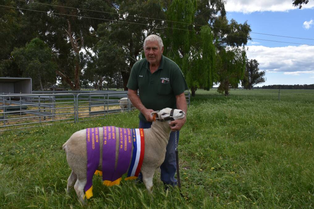 Hithergreen farmer Alan Franklin and his supreme champion prized texel ewe.
