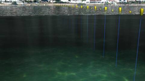 Ocean Guardian electrical shark barrier. Image supplied.