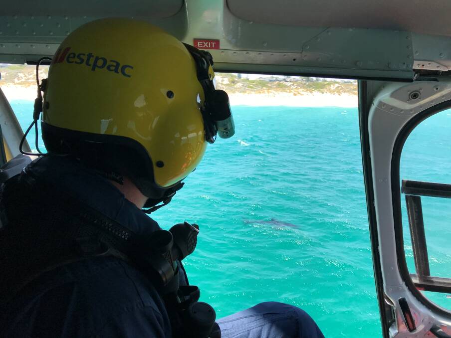 Surf Life Saving WA – 3.5m white shark spotted by the Westpac Lifesaver Rescue Helicopter on patrol at City Beach in February 2018. Image supplied.