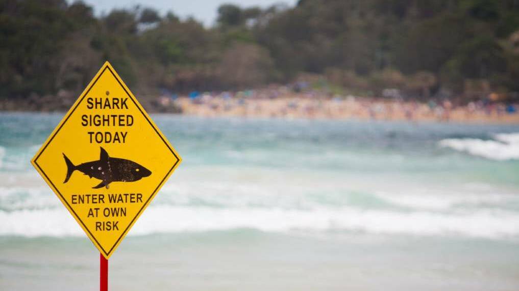 Shark advice for Peppermint Grove Beach