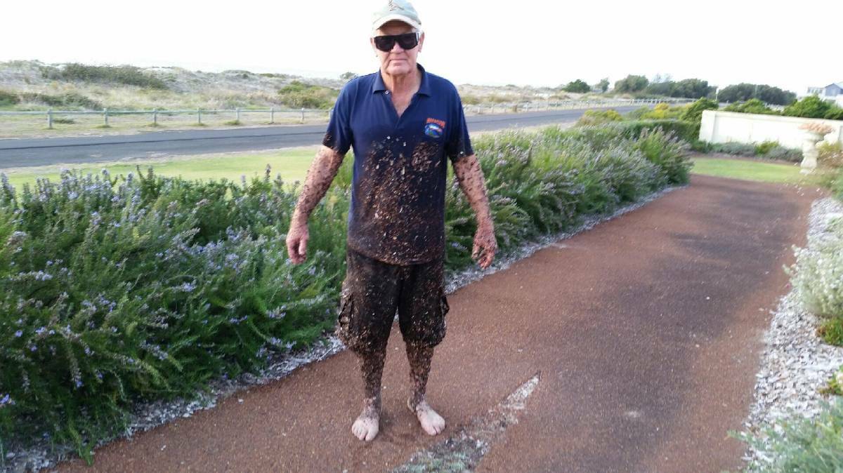 In 2017, Busselton resident Wally Dawson fell through the build up of seagrass wrack along Geographe Bay. Image supplied.