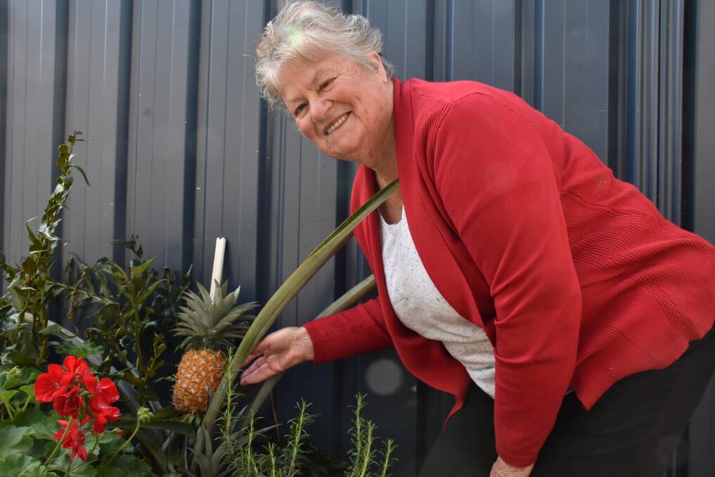 Busselton gardener Marjorie Crawford was delighted to find a pineapple growing in her makeshift garden bed.