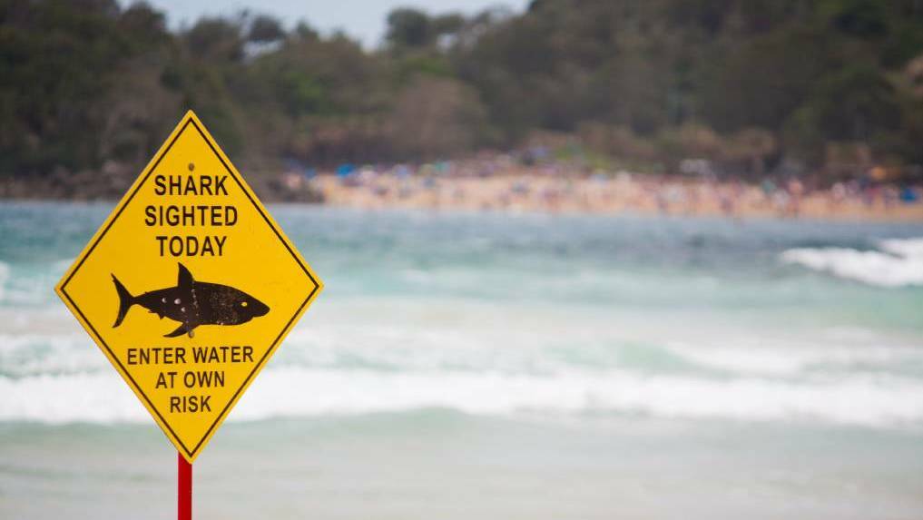 Shark advice for Rabbits surfing spot in Yallingup