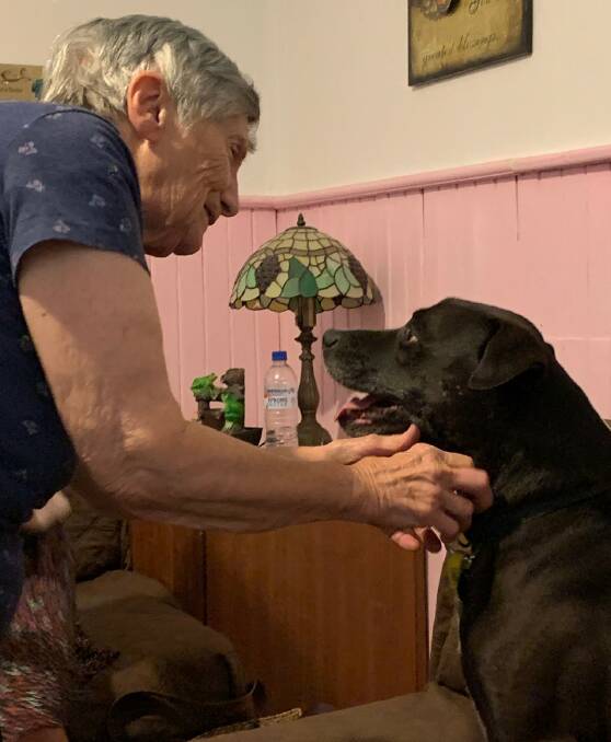 Busselton resident Marilynn found her beloved rescue dog Sammy after noticing they shared the same birthday. Image supplied.