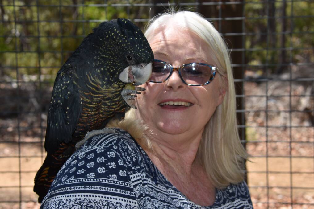 Jamarri owner Dee Patterson with a red tailed black cockatoo.
