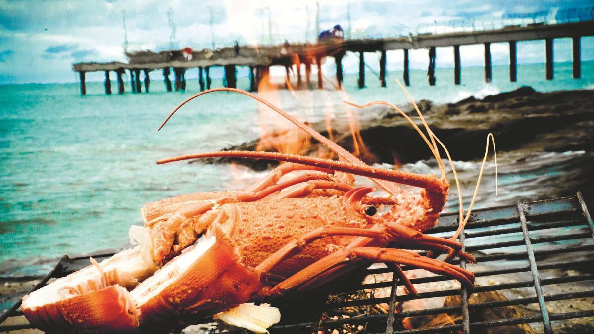 Rock lobster restrictions lifted
