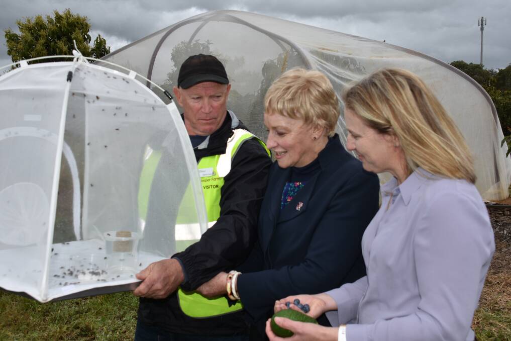 Department of Primary Industries and Regional Development researcher David Cook, Agriculture and food minister Alannah MacTiernan and Hort Innovation Research and Development general manager Alison Anderson.