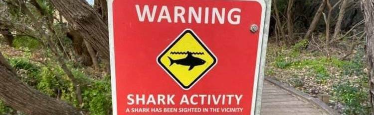 Warning issued after increased shark activity at Meelup Beach