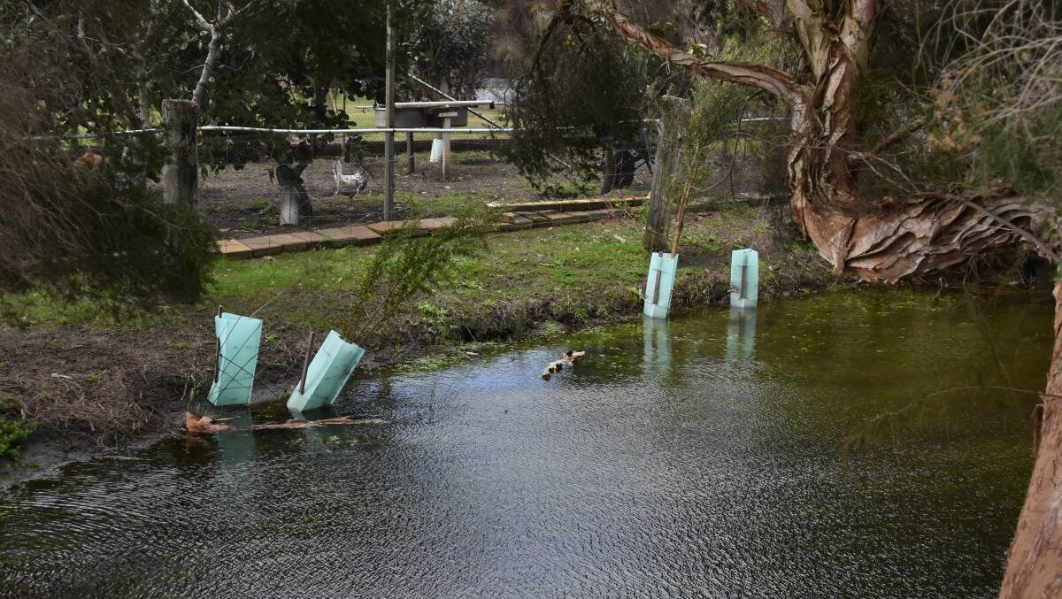 Water levels in the Vasse River were the highest residents had seen after a culvert located on Chapman Hill Road was tampered with causing the river to rise rapidly.