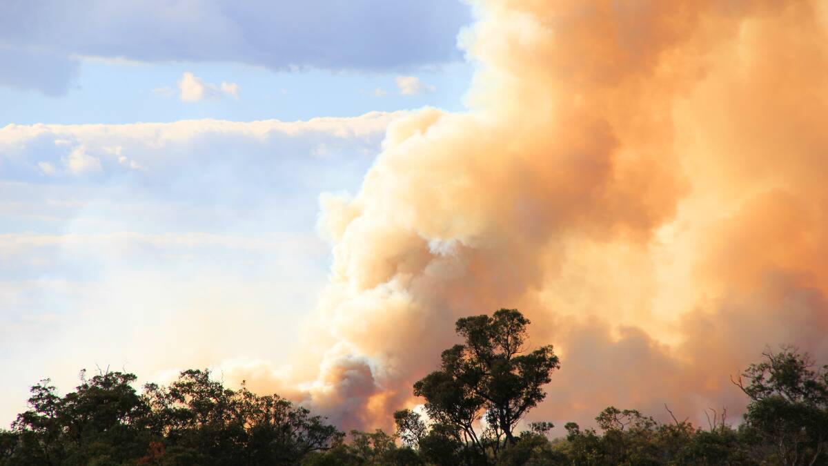 City of Busselton extends community consultation on changes to its Bushfire Notice