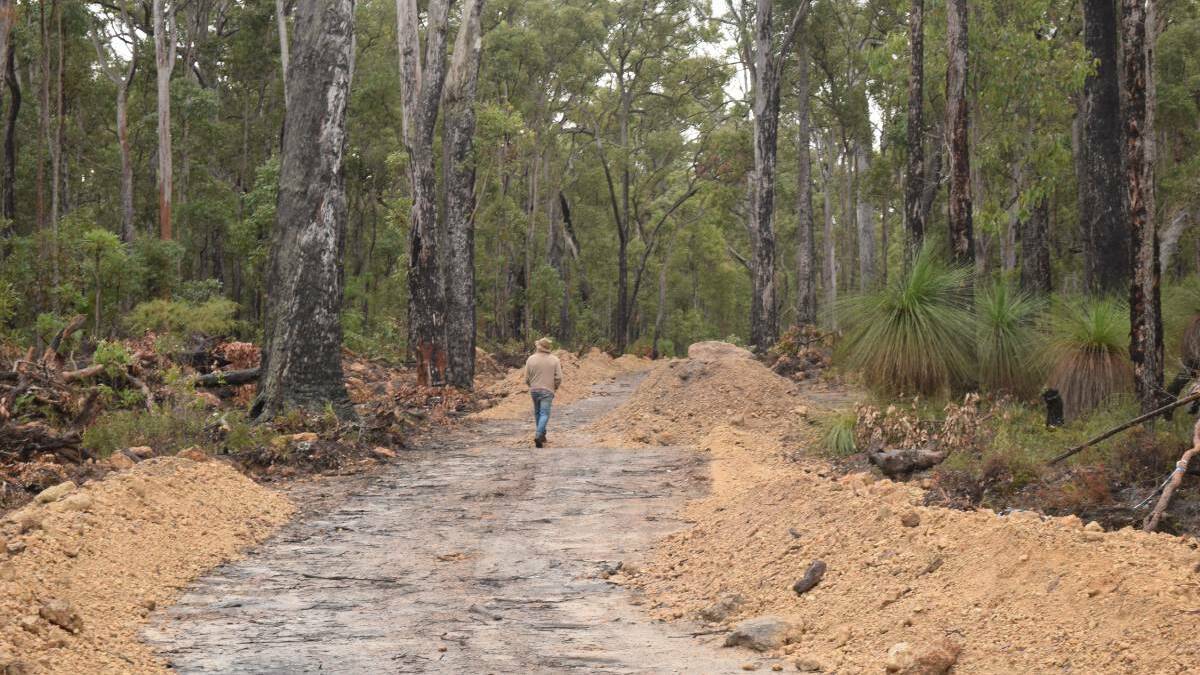 Nannup timber mill to be investigated a second time for allegedly exporting native logs