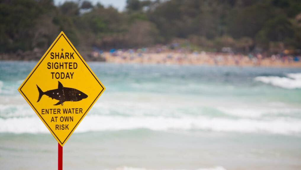 A shark advice issued for Eagle Bay after whale carcass was found on Sunday July 4.