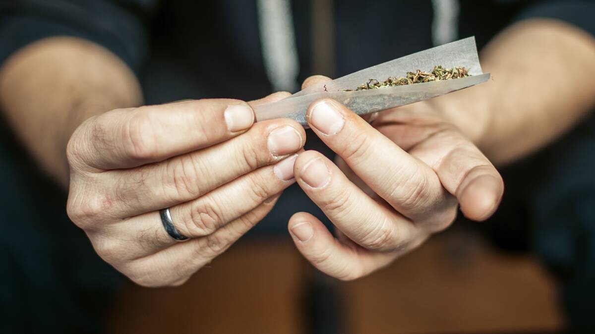 A report Quantifying the Social Costs of Cannabis Use to Australia report published by the National Drug Research Institute (NDRI) at Curtin University found that cannabis use is costing Australia $4.5 billion a year. Image by Shutterstock.