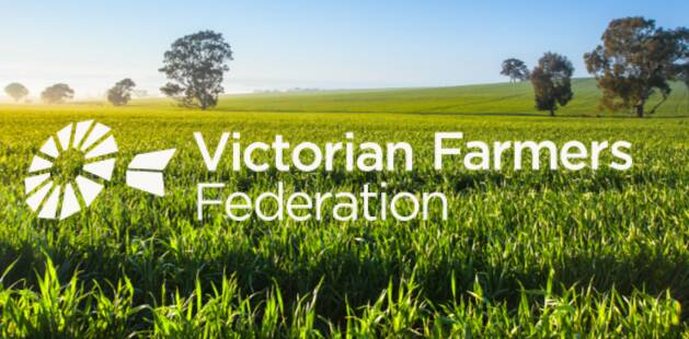 NEW HORIZONS: The VFF will open applications for its chief executive role from Friday.