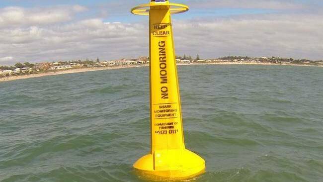 Shark advice warning for Bunker Bay